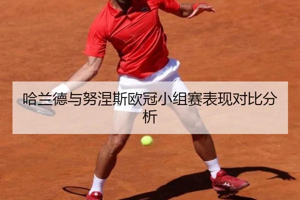 哈兰德与努涅斯欧冠小组赛表现对比分析